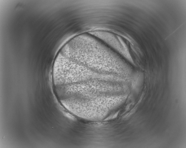 X0000063500814200602101857