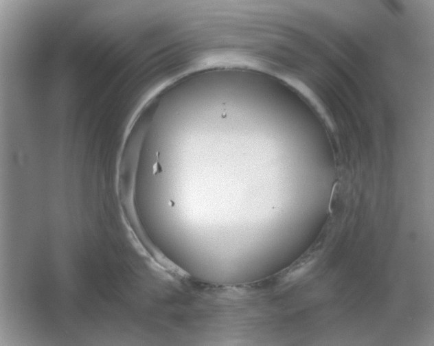 X0000063500815200602101857