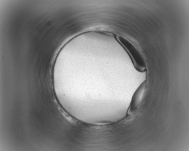 X0000063500816200602101857