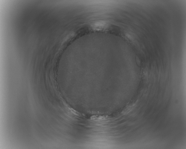 X0000063500817200602101857