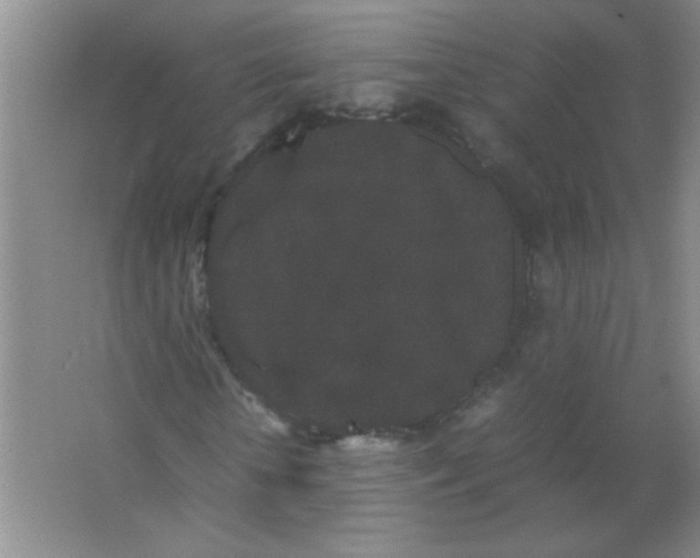 X0000063500818200602101857