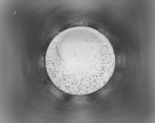 X0000063500820200602101857