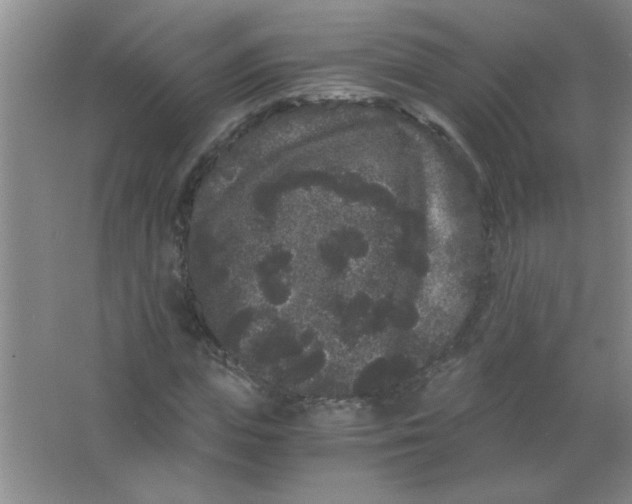 X0000063500823200602101857