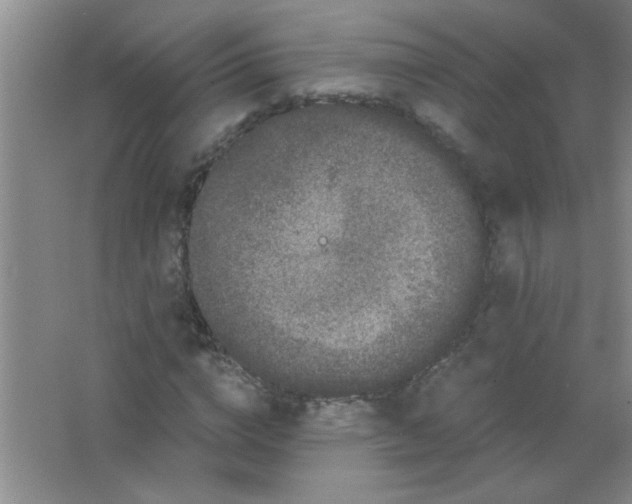 X0000063500824200602101857