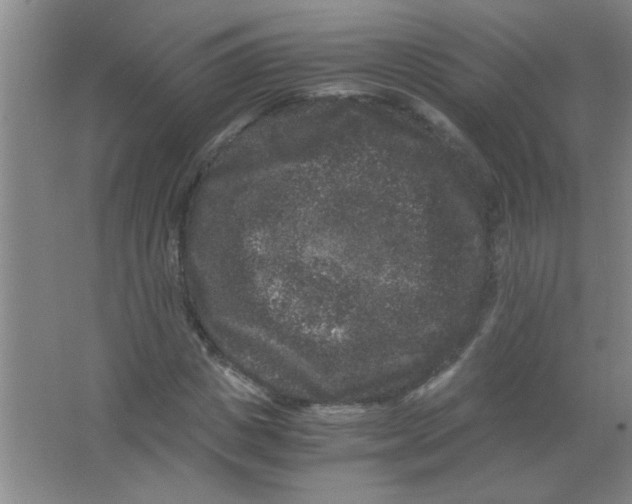 X0000063500825200602101857