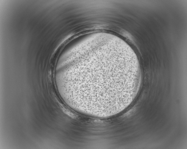 X0000063500827200602101857