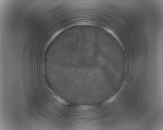 X0000063500829200602101857