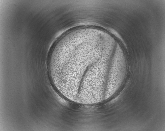 X0000063500831200602101857