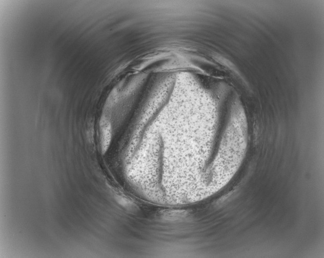 X0000063500833200602101857