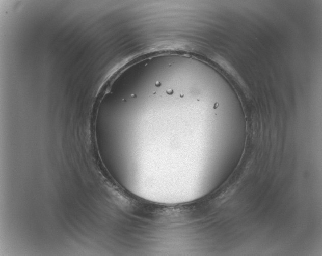 X0000063500834200602101857