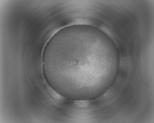 X0000063500836200602101857