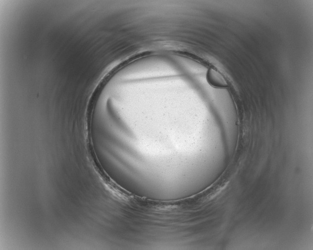 X0000063500837200602101857