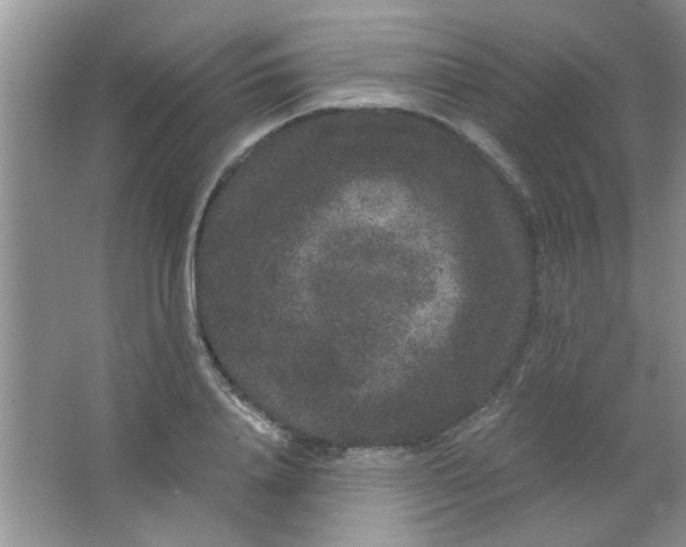 X0000063500840200602101857