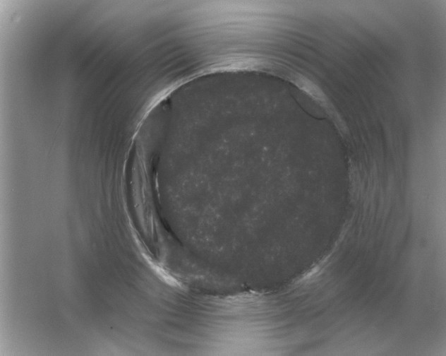 X0000063500842200602101857