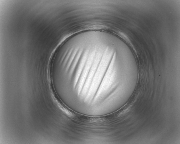 X0000063500843200602101857