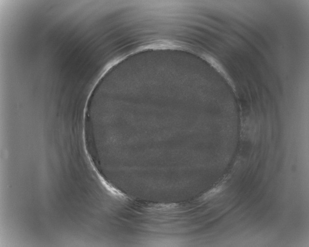 X0000063500845200602101857