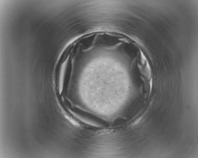 X0000063500846200602101857