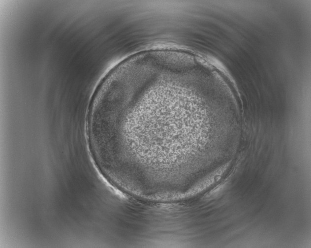 X0000063500847200602101857