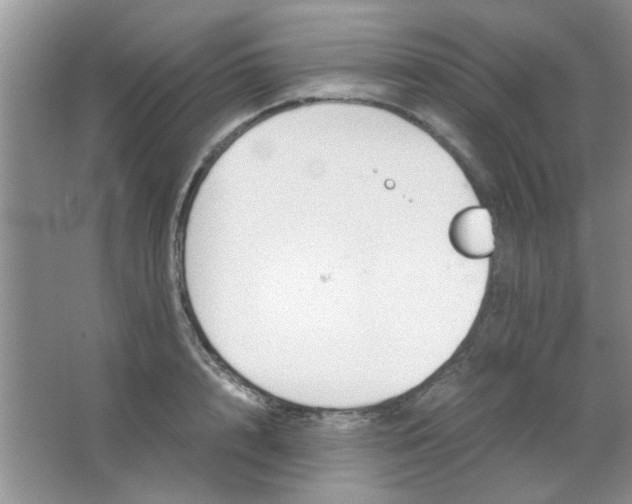 X0000063500848200602101857