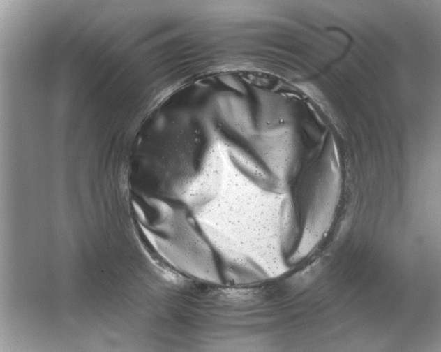 X0000063500849200602101857