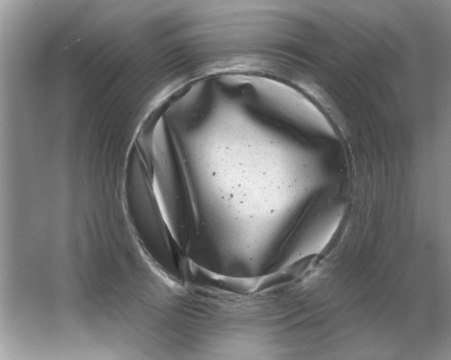 X0000063500850200602101857