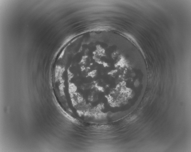 X0000063500851200602101857