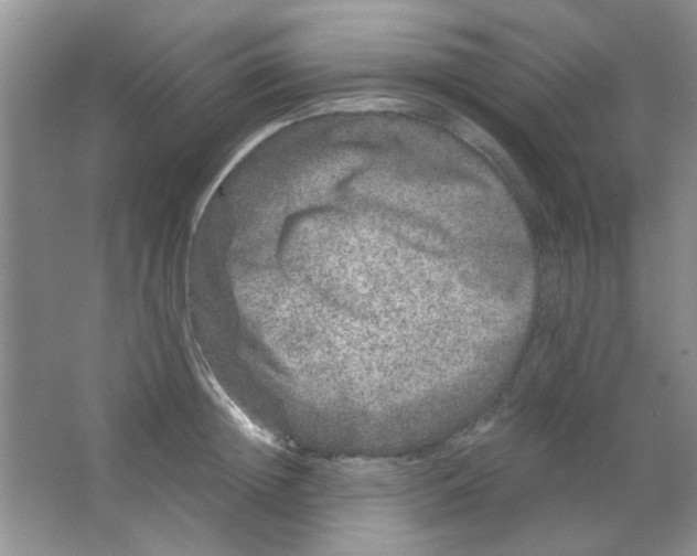 X0000063500852200602101857