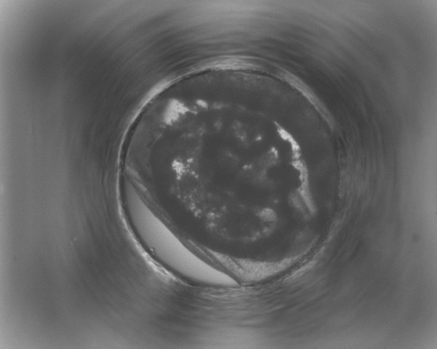 X0000063500853200602101857