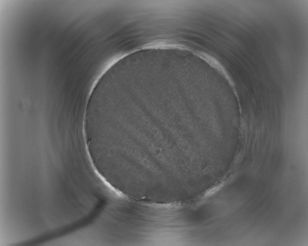 X0000063500855200602101857