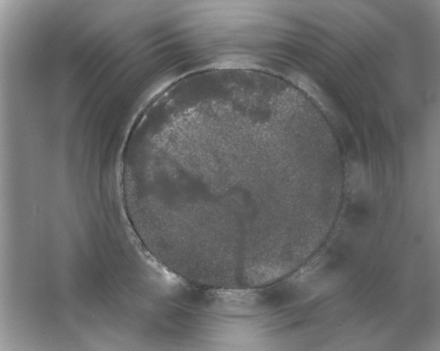 X0000063500856200602101857