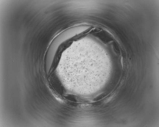 X0000063500858200602101857