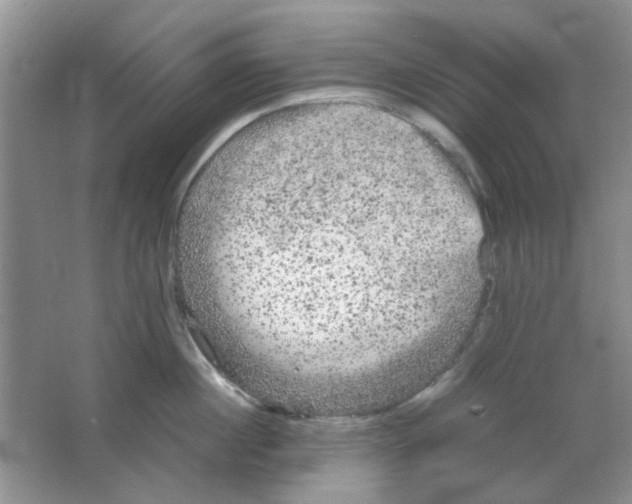 X0000063500860200602101857