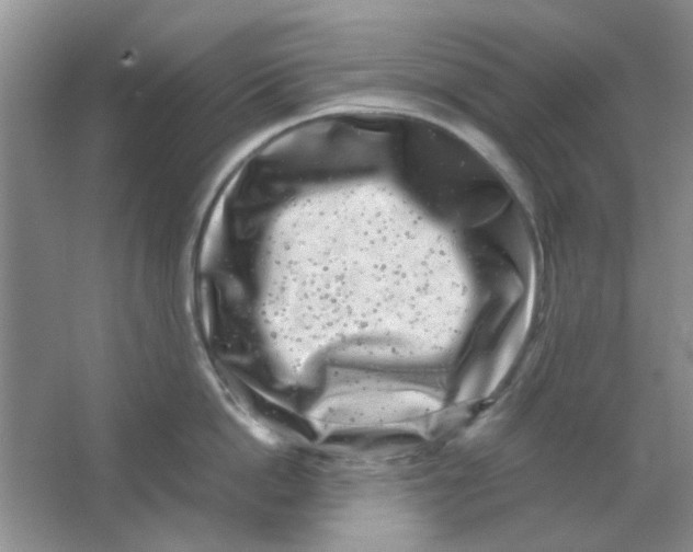 X0000063500862200602101857