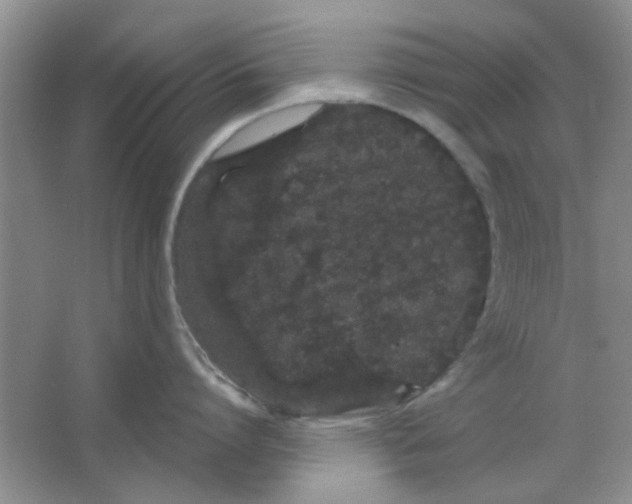 X0000063500864200602101857