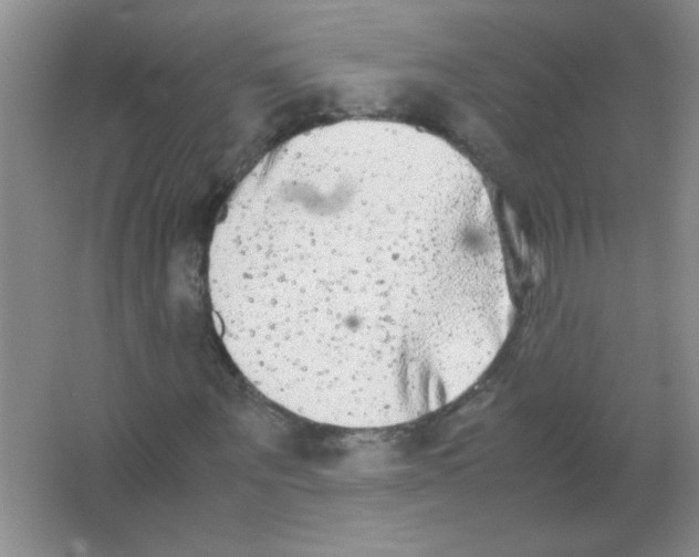 X0000063500867200602101857