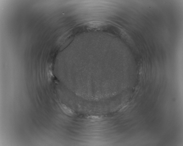 X0000063500868200602101856