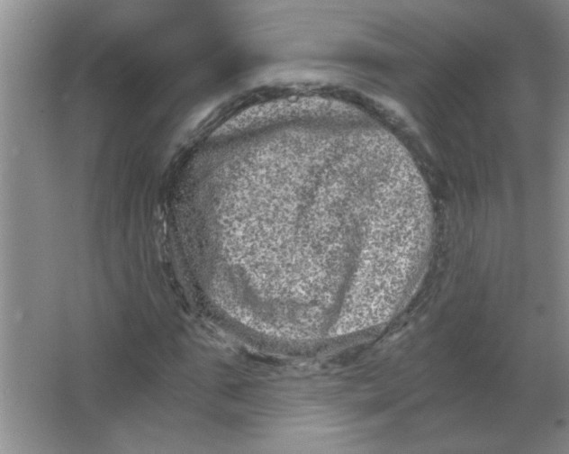 X0000063500871200602101856