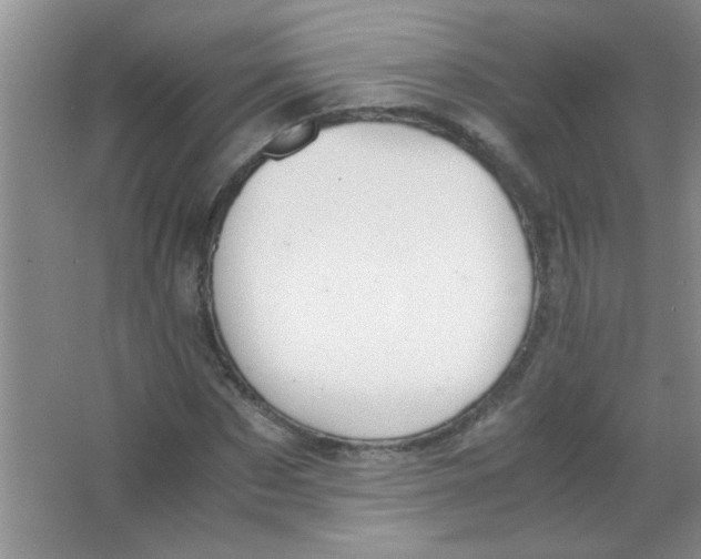 X0000063500873200602101856