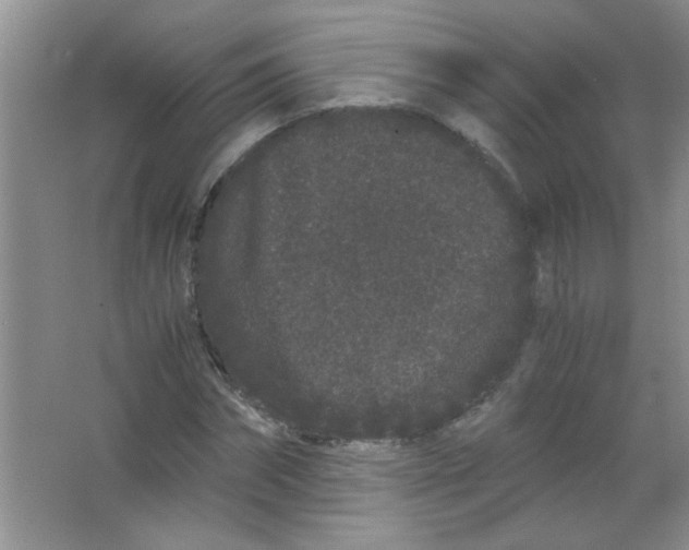 X0000063500874200602101856