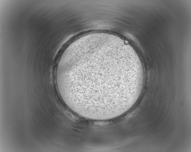 X0000063500875200602101856