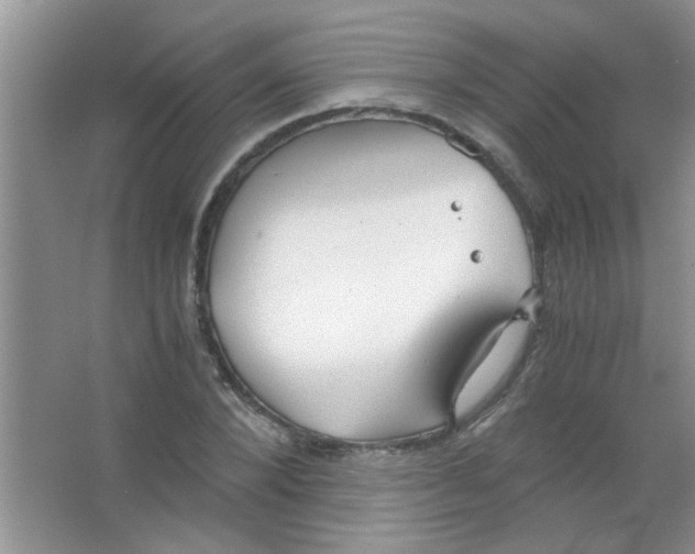 X0000063500880200602101856