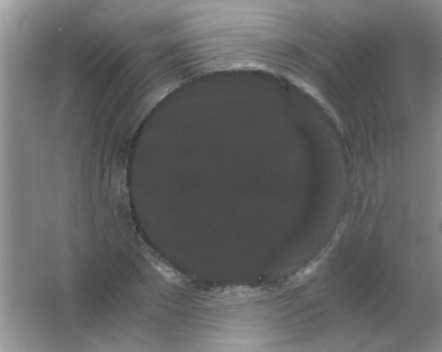 X0000063500881200602101856