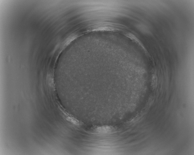 X0000063500882200602101856