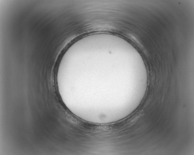 X0000063500883200602101856