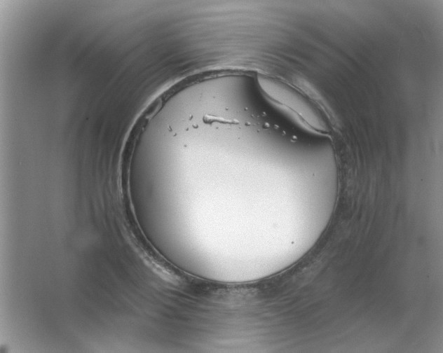 X0000063500884200602101856