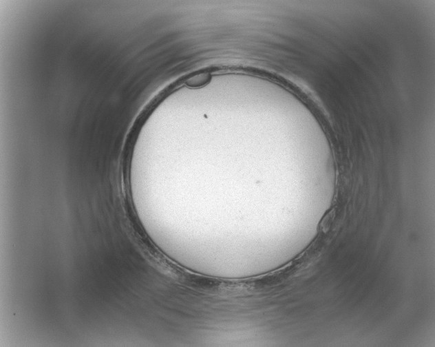 X0000063500887200602101856