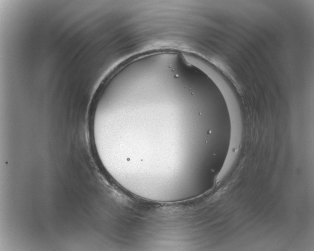 X0000063500888200602101856