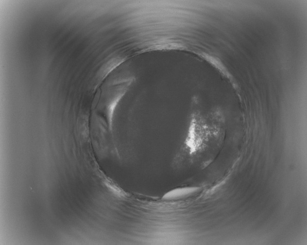 X0000063500889200602101856