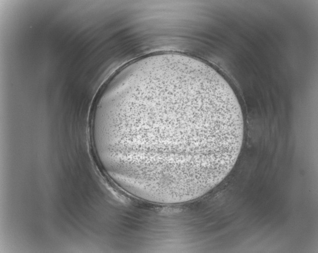 X0000063500890200602101856