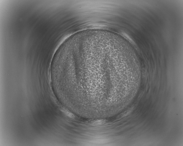 X0000063500891200602101856